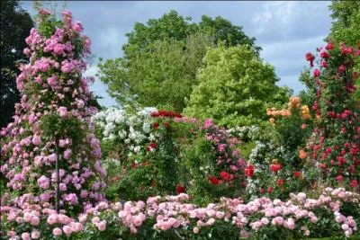 Dans quelle ville d'Ile-de-France pouvez-vous visiter ce parc floral !
