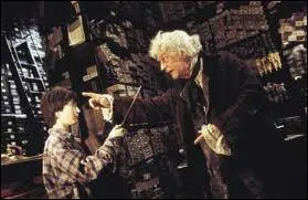 Où Harry Potter a-t-il acheté sa baguette magique ?
