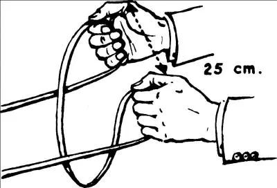 Si vous tenez vos 2 rênes dans chaque main, vous obtenez un tourner par :