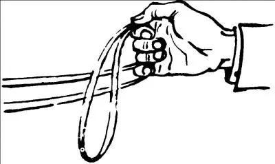 Si vous tenez vos 2 rênes dans une seule main, vous obtenez un tourner par :