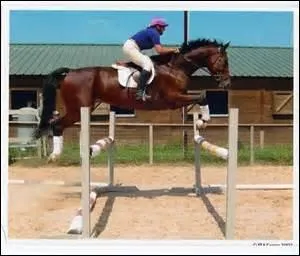 Quel est l'obstacle de cette photo ?