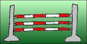 Quel est l'obstacle de cette photo ?