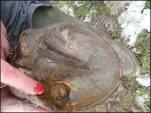 Quel est se type de blessure sur ce sabot ?