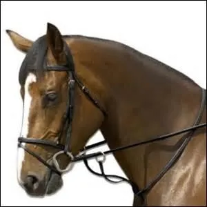 Quel est ce type d'enrênement ?