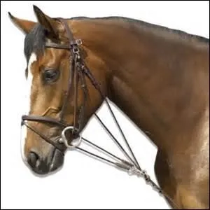 Quel est ce type d'enrênement ?