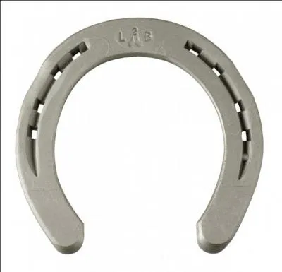 Quand faut-il renouveler la ferrure ?