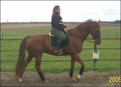 Le pas est une allure :