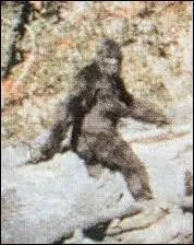 Un mythe, ou pas, chacun son avis... Le reconnaissez-vous ?