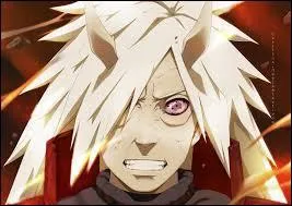 Cette image provient-elle du manga 'Naruto' ou 'Naruto Shippuden' ?