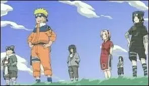 Cette image provient-elle du manga 'Naruto' ou 'Naruto Shippuden' ?