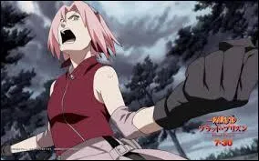 Cette image provient-elle du manga 'Naruto' ou 'Naruto Shippuden' ?