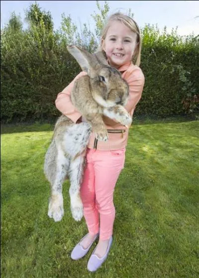Il est préférable que mon premier soit mélodieux, ma seconde a le sens de la vie, mon troisième donne l'ordre de partir, mon quatrième est un oui germain, mon tout est une chanteuse française !