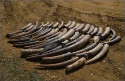 Mon premier est une exclamation, mon deuxième ne veut pas avouer, on peut ouvrir mon troisième, mon tout est connu pour avoir franchi les Alpes !