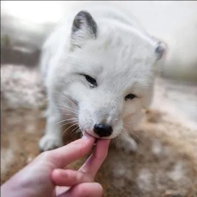 Mon premier va d'aval en amont, ma deuxième fait des cochonneries, mon troisième est une île, on se gèle dans mon tout !