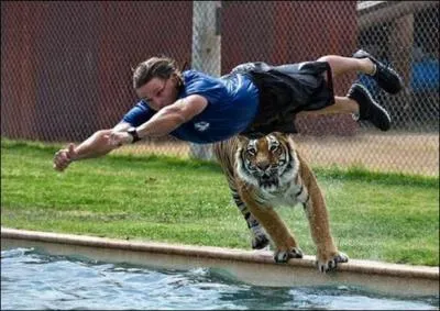 Mon premier ne manque pas de veines, mon second est le premier dans la gamme, mon troisième est interrogatif et mon tout est une série télévisée des années 70 !