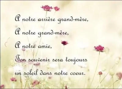 Qu'est-ce qu'un "cybercimetière" ?