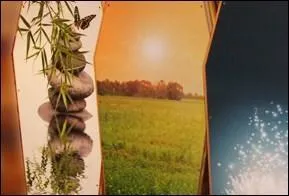 Ces cercueils et ces urnes customisés et proposés par l'entreprise "Personifia" sont réalisés avec un revêtement de matériaux pouvant être d'origine animale ou végétale renouvelable.