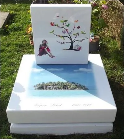 Une toute nouvelle invention (pas encore importée en France) : la biocrémation appelée l'aquamation. En quoi consiste-t-elle ?