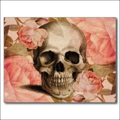 J'espère que mon quiz ne vous a pas paru trop morbide. Pour finir, cliquez sur la fin de cette citation de Sénèque : "La vie de l'homme est une montre sans aiguille où l'on peut lire toutes les heures marquées ... :