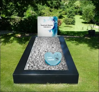 Quel concept a attiré l'attention du secteur funéraire permettant aux proches d'un défunt de garder un souvenir de la personnalité de celui-ci ?