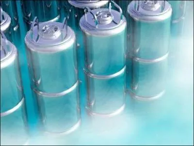 Aujourd'hui, on peut se faire cryogéniser pour 20 000 à 150 000 dollars. Quelles sont les entreprises qui proposent de le faire ?