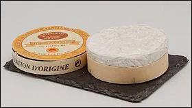 Depuis quelle année le camembert de Normandie est-il appelé ainsi ?