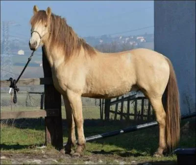 Et cette superbe robe ?