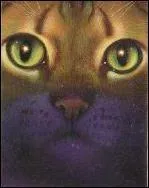 Quelle est la prophétie du Clan des Étoiles annoncée à Feuille de Lune ?