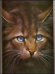 Qui piège Étoile de Feu dans un collet pour que Griffe de Ronce le tue ?