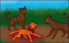 Griffe de Ronce va-t-il tuer Étoile de feu ?