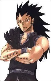 Gajil a pour élément de chasseur de dragons :