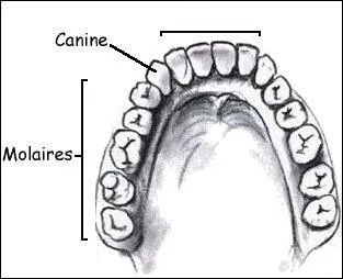 "Qui peut dans sa fureur m'écharper ou m'occire". Quel est le sens "d'écharper" ?