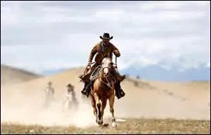 Votre cheval est bien ----- sa robe est brillante, vous allez lui faire prendre l'air pour une ------, et bien sûr, Monsieur vous montez à ------.