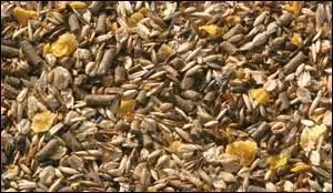 Le mélange de céréales ----- d'orge, d'avoine, de blé, de maïs, de lin, se nomme le ----.