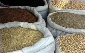 Elles doivent être mises à tremper durant une ------