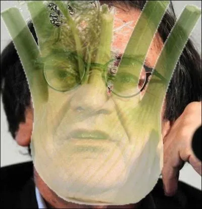 Les noms ashkénazes sont souvent de consonance germanique. Mais si "Finkelstein" signifie "pierre brillante, précieuse, pyrite ou pierre à étincelles, à feu", Finkielkraut se rapproche de ...