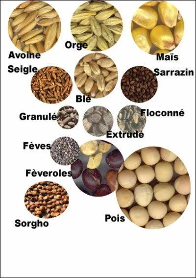 Ordre de distribution des aliments :