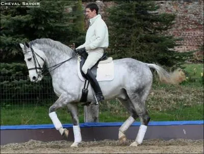 Quel est l'ordre des trois phases des aides ?
