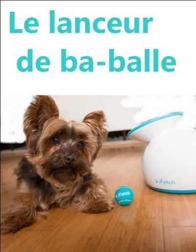 Voici le lanceur de ba-balles automatique, idéal pour le chien-chien à sa mémère.