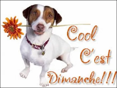 Quelle est la signification du nom dimanche ?