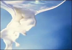 Le beurre contient de la ----- et du -----.