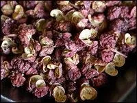 Ces grains de poivre de couleur ----- au goût subtil, moins ---- que ceux du poivre blanc ou du noir, s'utilisent ---- et moulus.