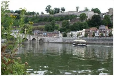 La Meuse est un affluent du Rhin.