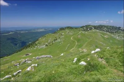 Le point culminant du Jura français est le crêt des Neiges.