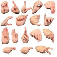 Ca se passait un dimanche, en fin d'après-midi, mais elles n'étaient pas sans queues ni têtes !