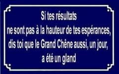 Quiz Publicites