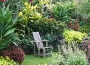 Quiz Petite dicte  lundingue  au jardin