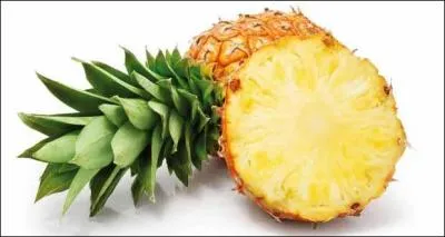 L'ananas est efficace contre l'arthrose ou contre les oxyures et encore beaucoup d'autres choses... Mais, où pousse-t-il ?