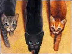 Qui sont les Trois ?