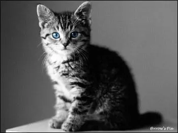 Quel est le pouvoir de la dernière des Trois ?